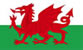 You've Got This Wales